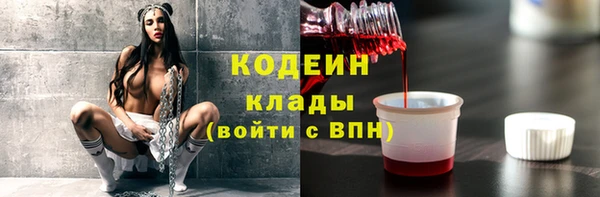 прущие грибы Покровск