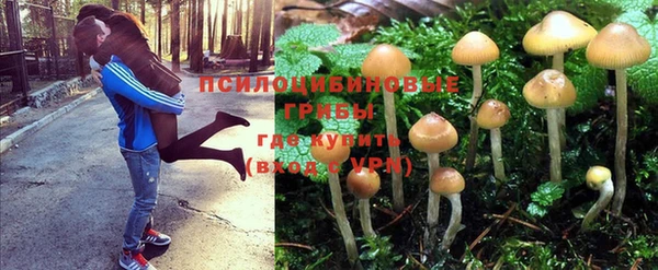 марки nbome Алексин