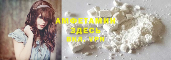 крисы Алзамай