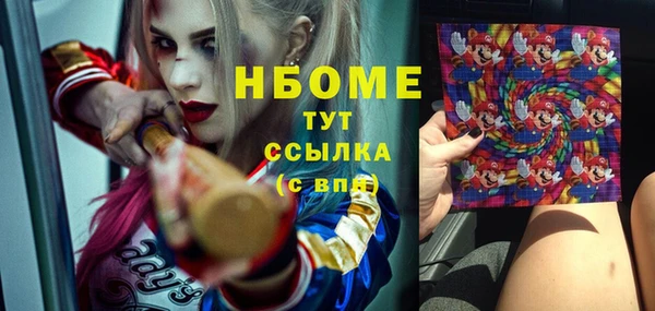 индика Алексеевка