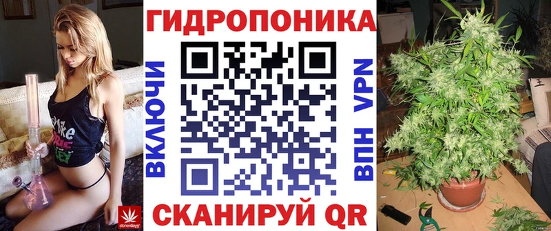 Каннабис SATIVA & INDICA  Нея 